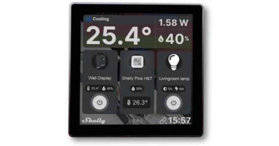 Picture of Shelly Wall Display